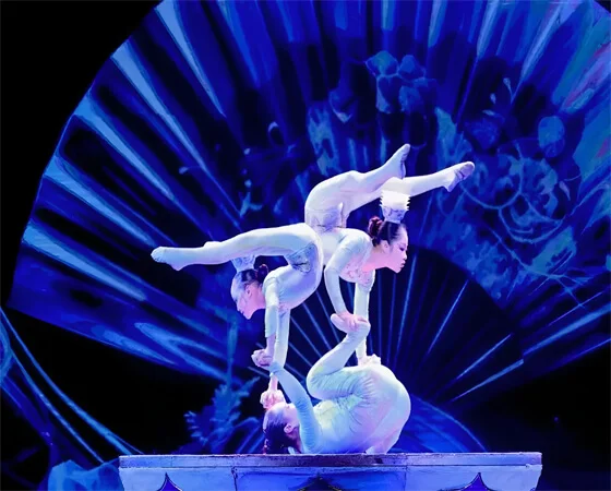 朝阳杂技《顶碗》