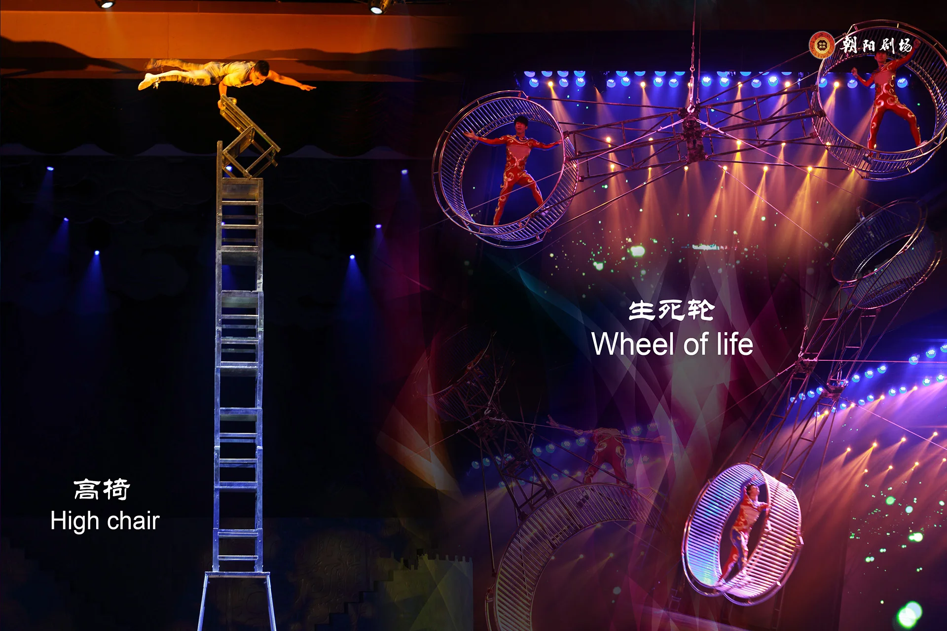 北京朝阳杂技演出精彩剧照